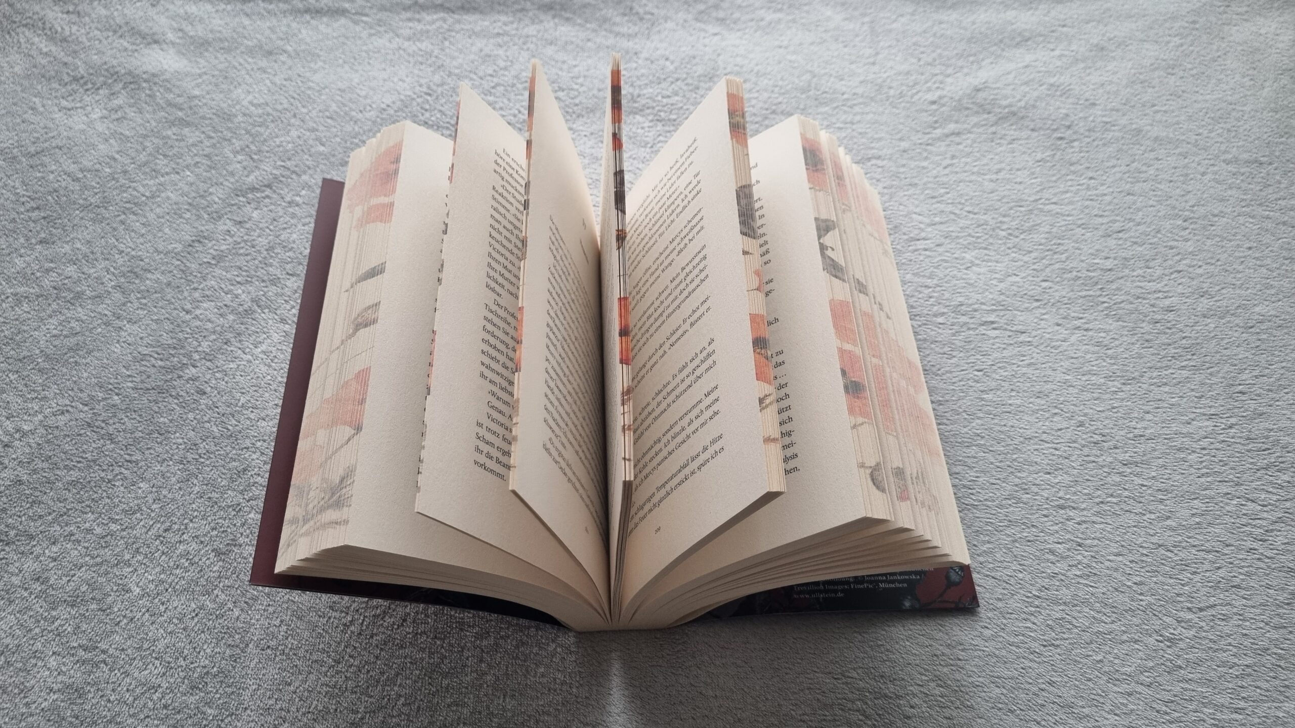 Lesen und gelesen werden