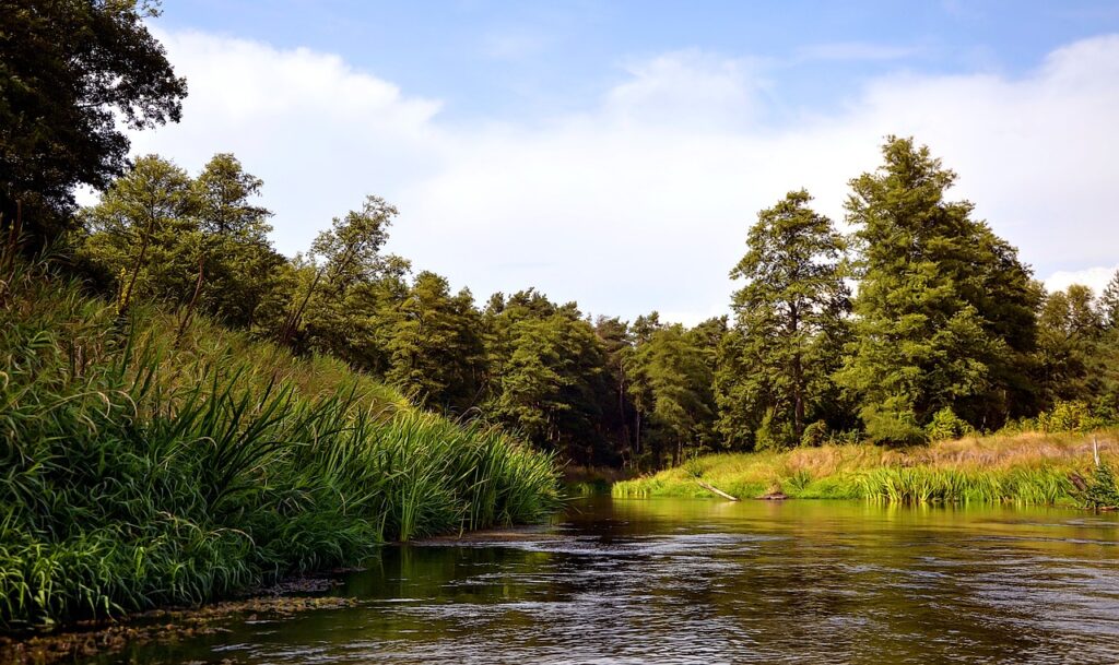 Copyright: Account: JerzyGórecki, URL: https://pixabay.com/de/photos/fluss-wald-wolken-b%c3%a4ume-landschaft-4444557/, zuletzt aufgerufen am 11.1.2026.