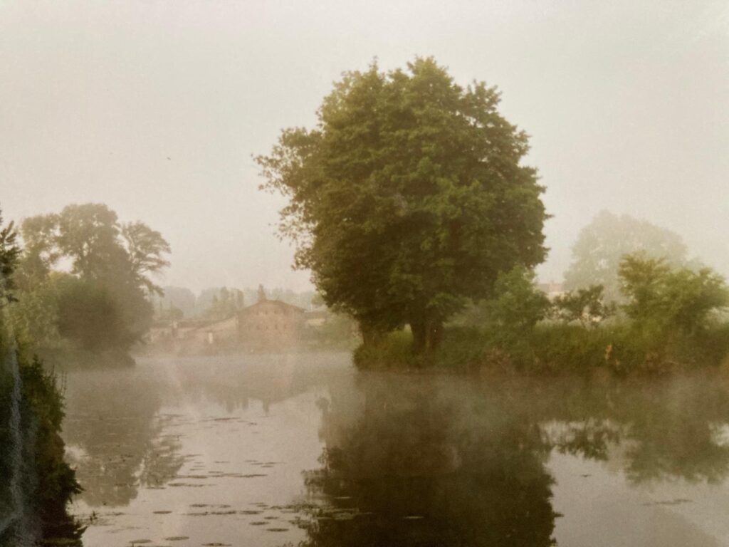 Morgennebel/ Jan-Martin Schmidt 